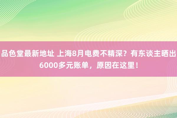 品色堂最新地址 上海8月电费不精深？有东谈主晒出6000多元账单，原因在这里！