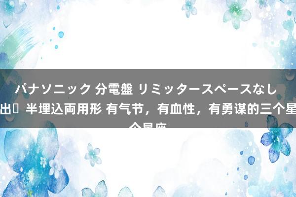 パナソニック 分電盤 リミッタースペースなし 露出・半埋込両用形 有气节，有血性，有勇谋的三个星座