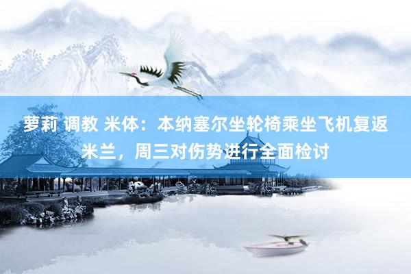 萝莉 调教 米体：本纳塞尔坐轮椅乘坐飞机复返米兰，周三对伤势进行全面检讨