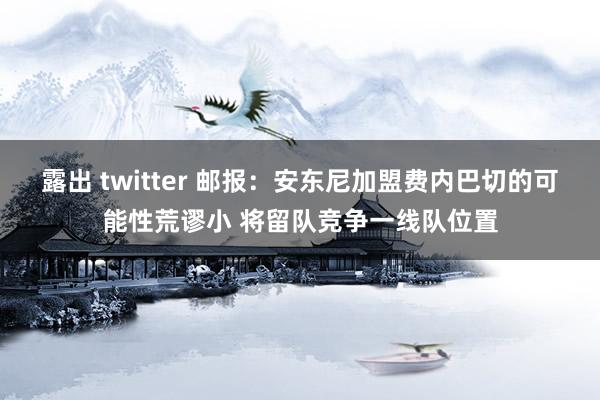 露出 twitter 邮报：安东尼加盟费内巴切的可能性荒谬小 将留队竞争一线队位置