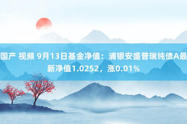 国产 视频 9月13日基金净值：浦银安盛普瑞纯债A最新净值1.0252，涨0.01%