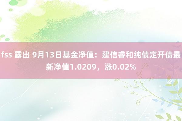 fss 露出 9月13日基金净值：建信睿和纯债定开债最新净值1.0209，涨0.02%