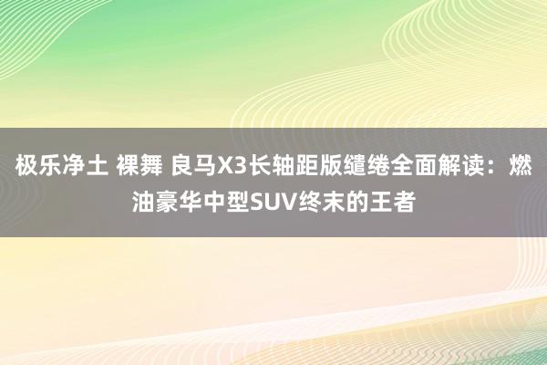 极乐净土 裸舞 良马X3长轴距版缱绻全面解读：燃油豪华中型SUV终末的王者