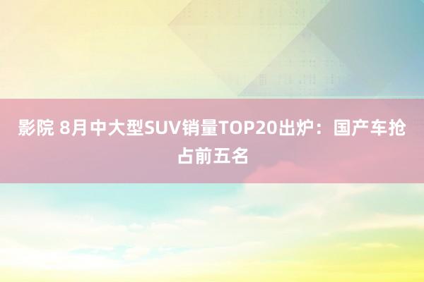 影院 8月中大型SUV销量TOP20出炉：国产车抢占前五名