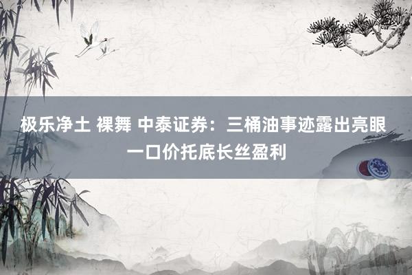 极乐净土 裸舞 中泰证券：三桶油事迹露出亮眼 一口价托底长丝盈利