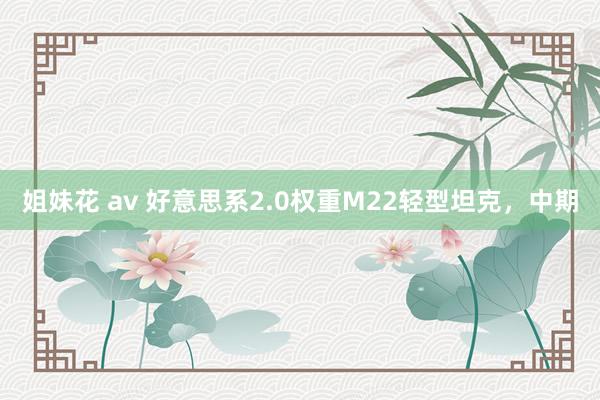 姐妹花 av 好意思系2.0权重M22轻型坦克，中期