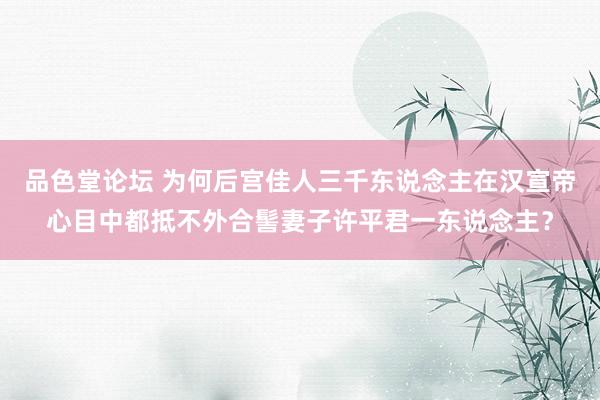 品色堂论坛 为何后宫佳人三千东说念主在汉宣帝心目中都抵不外合髻妻子许平君一东说念主？