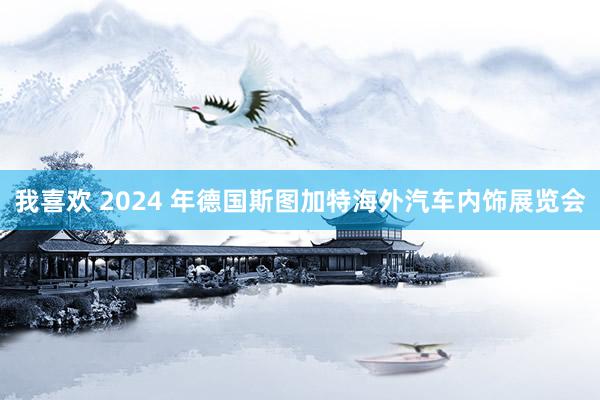 我喜欢 2024 年德国斯图加特海外汽车内饰展览会