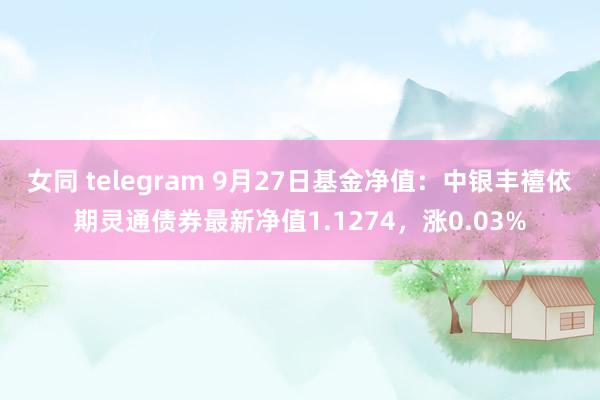 女同 telegram 9月27日基金净值：中银丰禧依期灵通债券最新净值1.1274，涨0.03%