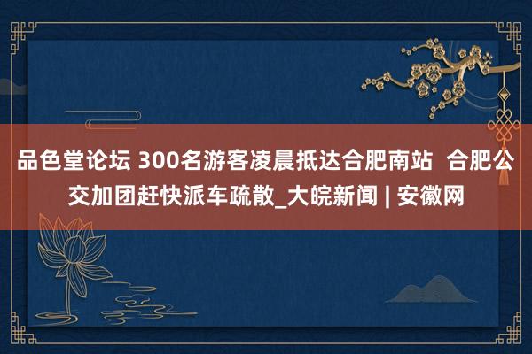 品色堂论坛 300名游客凌晨抵达合肥南站  合肥公交加团赶快派车疏散_大皖新闻 | 安徽网