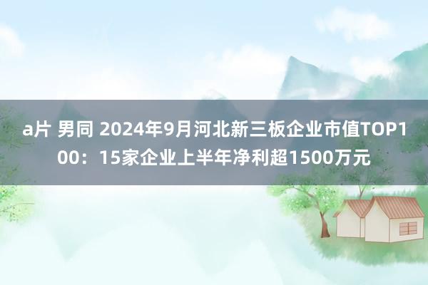 a片 男同 2024年9月河北新三板企业市值TOP100：15家企业上半年净利超1500万元