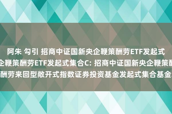 阿朱 勾引 招商中证国新央企鞭策酬劳ETF发起式集合A，招商中证国新央企鞭策酬劳ETF发起式集合C: 招商中证国新央企鞭策酬劳来回型敞开式指数证券投资基金发起式集合基金2024年度第一次分成公告