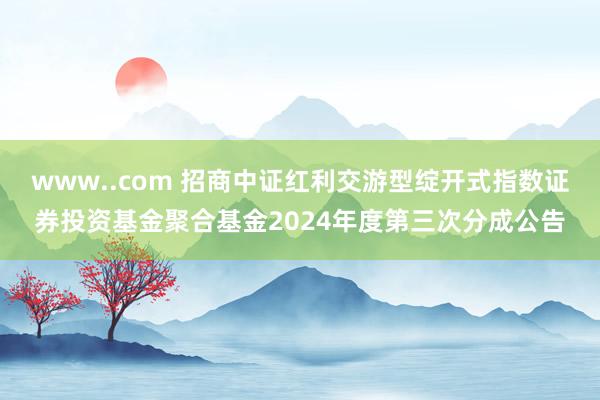 www..com 招商中证红利交游型绽开式指数证券投资基金聚合基金2024年度第三次分成公告