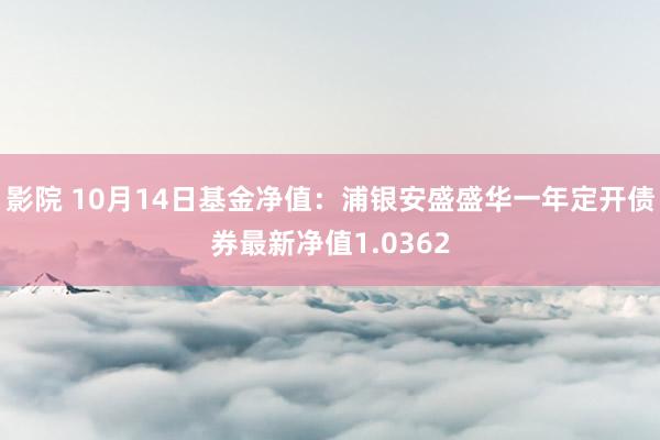 影院 10月14日基金净值：浦银安盛盛华一年定开债券最新净值1.0362