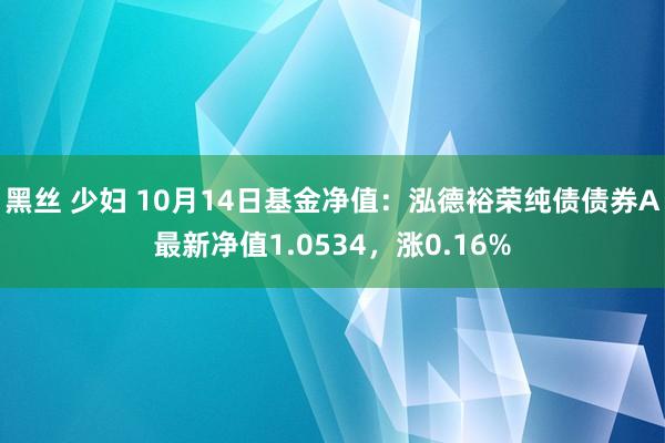 黑丝 少妇 10月14日基金净值：泓德裕荣纯债债券A最新净值1.0534，涨0.16%