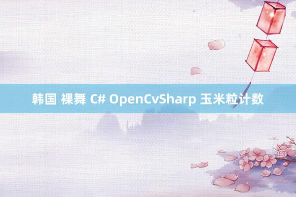 韩国 裸舞 C# OpenCvSharp 玉米粒计数