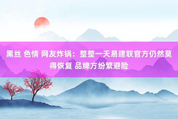 黑丝 色情 网友炸锅：整整一天易建联官方仍然莫得恢复 品牌方纷繁避险