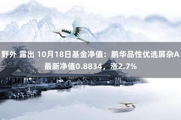 野外 露出 10月18日基金净值：鹏华品性优选羼杂A最新净值0.8834，涨2.7%