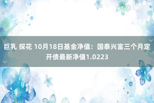 巨乳 探花 10月18日基金净值：国泰兴富三个月定开债最新净值1.0223