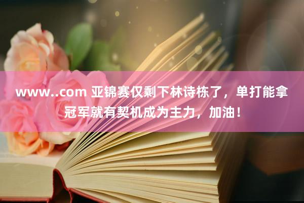 www..com 亚锦赛仅剩下林诗栋了，单打能拿冠军就有契机成为主力，加油！