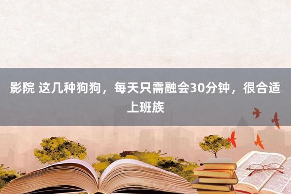 影院 这几种狗狗，每天只需融会30分钟，很合适上班族