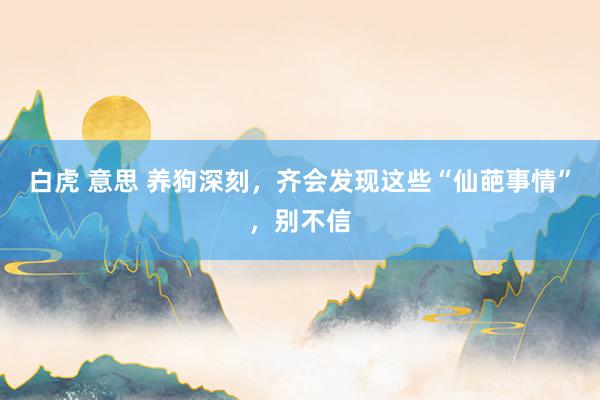 白虎 意思 养狗深刻，齐会发现这些“仙葩事情”，别不信