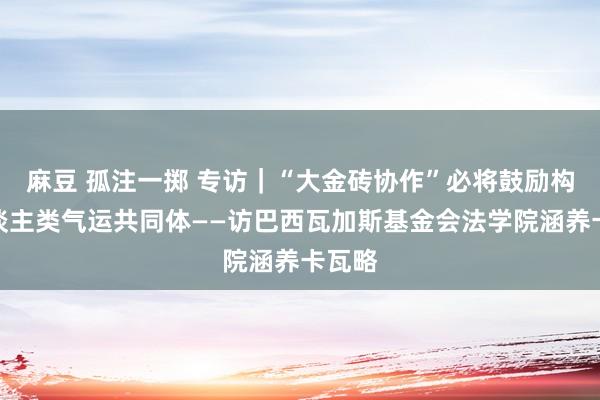 麻豆 孤注一掷 专访｜“大金砖协作”必将鼓励构建东谈主类气运共同体——访巴西瓦加斯基金会法学院涵养卡瓦略