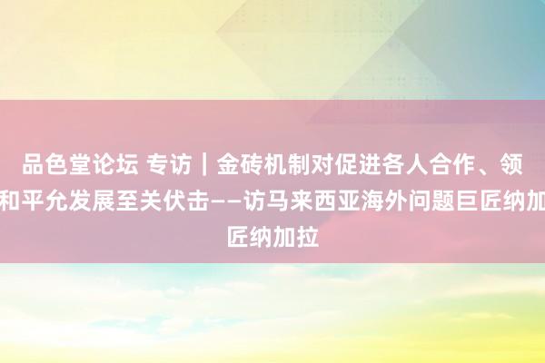 品色堂论坛 专访｜金砖机制对促进各人合作、领路和平允发展至关伏击——访马来西亚海外问题巨匠纳加拉