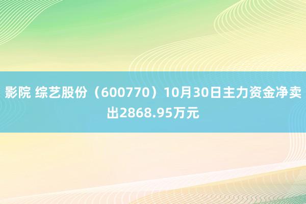 影院 综艺股份（600770）10月30日主力资金净卖出2868.95万元