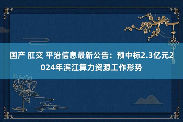 国产 肛交 平治信息最新公告：预中标2.3亿元2024年滨江算力资源工作形势