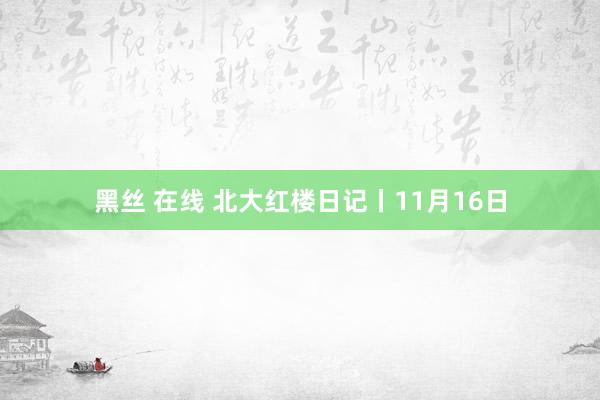 黑丝 在线 北大红楼日记丨11月16日