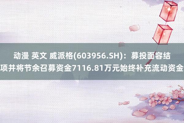 动漫 英文 威派格(603956.SH)：募投面容结项并将节余召募资金7116.81万元始终补充流动资金