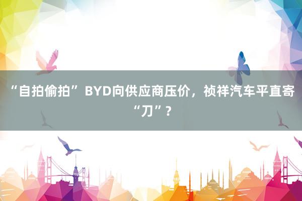 “自拍偷拍” BYD向供应商压价，祯祥汽车平直寄“刀”？