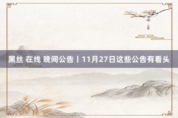 黑丝 在线 晚间公告丨11月27日这些公告有看头