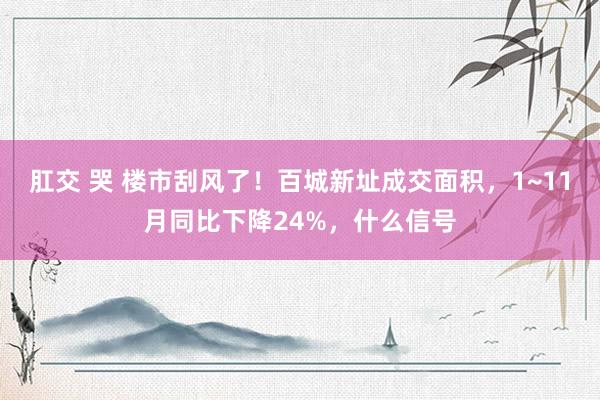 肛交 哭 楼市刮风了！百城新址成交面积，1~11月同比下降24%，什么信号