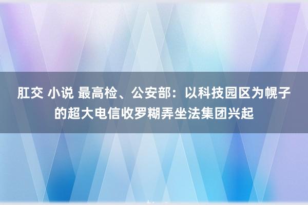 肛交 小说 最高检、公安部：以科技园区为幌子的超大电信收罗糊弄坐法集团兴起