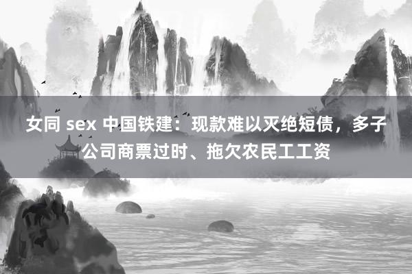 女同 sex 中国铁建：现款难以灭绝短债，多子公司商票过时、拖欠农民工工资