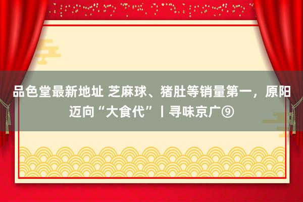 品色堂最新地址 芝麻球、猪肚等销量第一，原阳迈向“大食代”丨寻味京广⑨