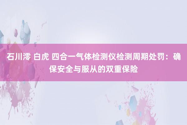 石川澪 白虎 四合一气体检测仪检测周期处罚：确保安全与服从的双重保险