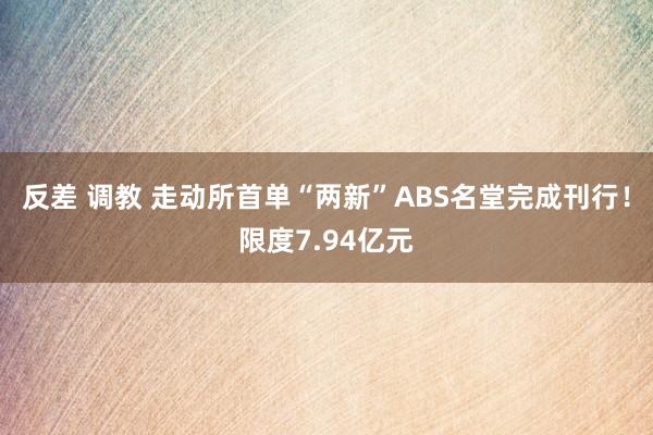 反差 调教 走动所首单“两新”ABS名堂完成刊行！限度7.94亿元