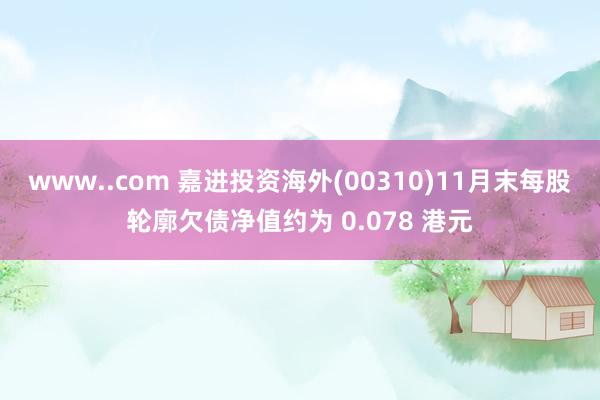 www..com 嘉进投资海外(00310)11月末每股轮廓欠债净值约为 0.078 港元