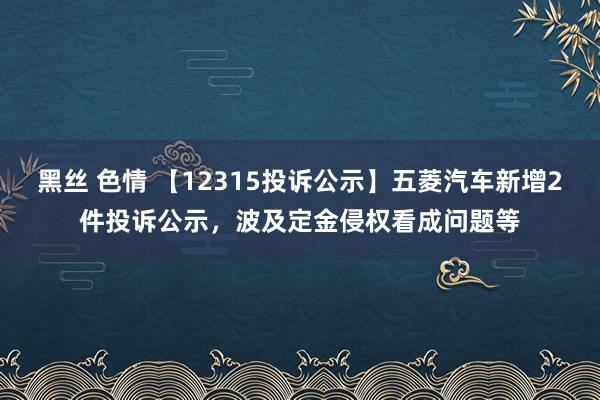 黑丝 色情 【12315投诉公示】五菱汽车新增2件投诉公示，波及定金侵权看成问题等