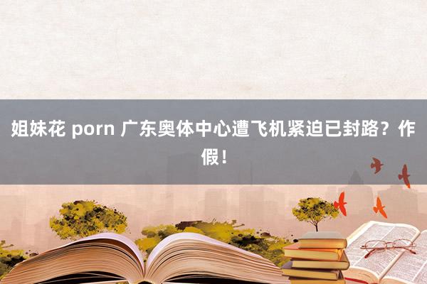 姐妹花 porn 广东奥体中心遭飞机紧迫已封路？作假！