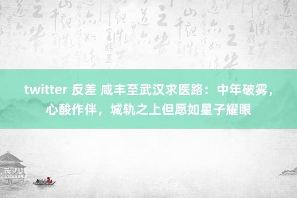 twitter 反差 咸丰至武汉求医路：中年破雾，心酸作伴，城轨之上但愿如星子耀眼