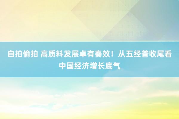 自拍偷拍 高质料发展卓有奏效！从五经普收尾看中国经济增长底气