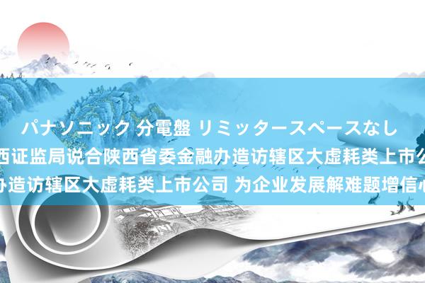 パナソニック 分電盤 リミッタースペースなし 露出・半埋込両用形 陕西证监局说合陕西省委金融办造访辖区大虚耗类上市公司 为企业发展解难题增信心