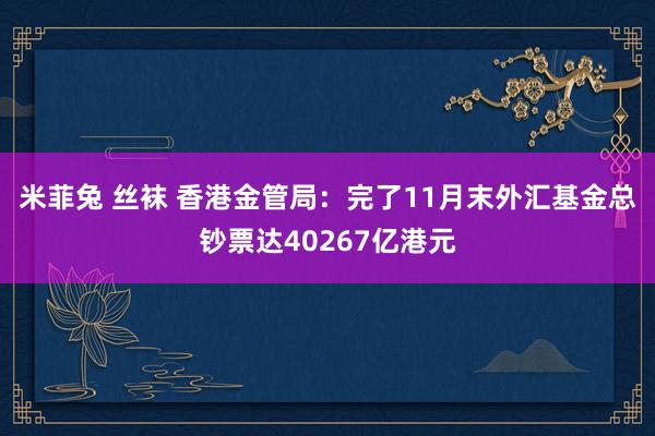 米菲兔 丝袜 香港金管局：完了11月末外汇基金总钞票达40267亿港元