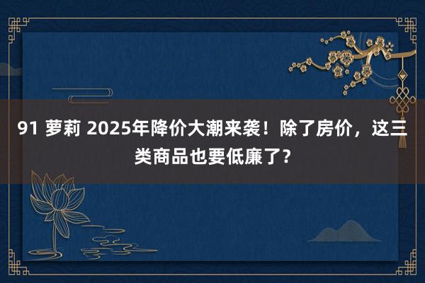 91 萝莉 2025年降价大潮来袭！除了房价，这三类商品也要低廉了？