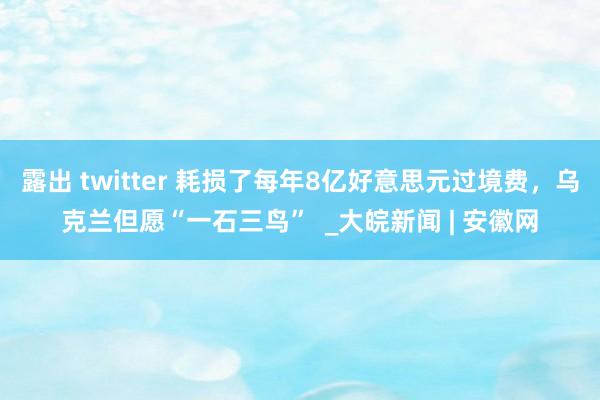 露出 twitter 耗损了每年8亿好意思元过境费，乌克兰但愿“一石三鸟”  _大皖新闻 | 安徽网