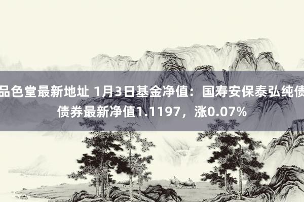 品色堂最新地址 1月3日基金净值：国寿安保泰弘纯债债券最新净值1.1197，涨0.07%